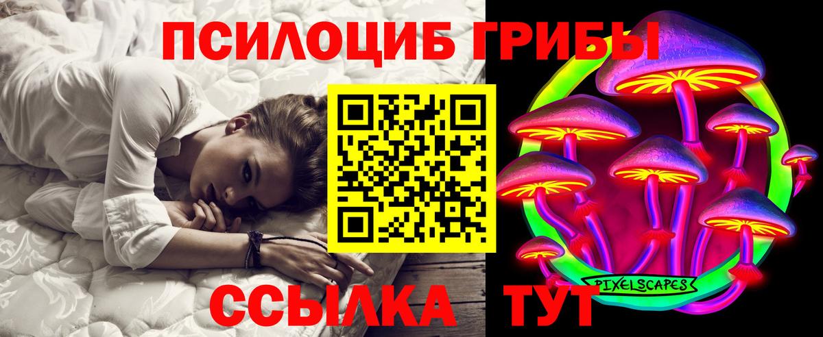 Галлюциногенные грибы прущие грибы Куйбышев