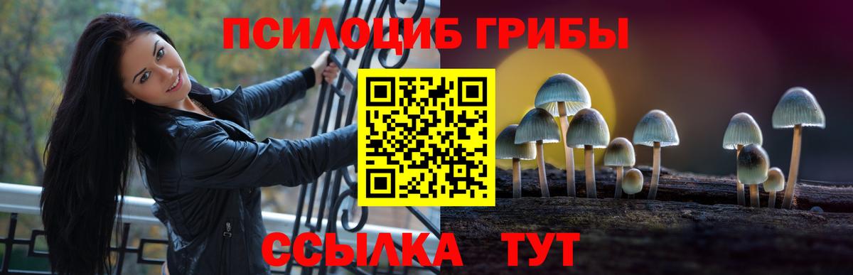 как найти   Вход с VPN  Псилоцибиновые грибы Cubensis  Куйбышев  Галлюциногенные грибы мухоморы 